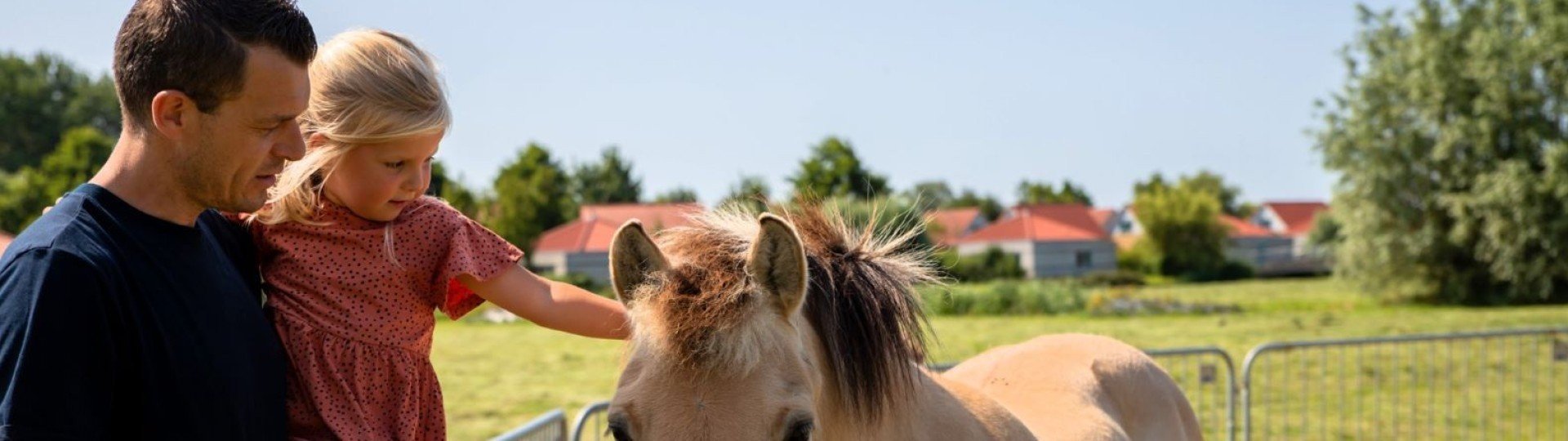 Medemblik kindervilla pony vakantie